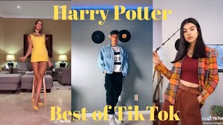 Hogwarts Houses as Outfits Challenge | Best of TikTok Challenge