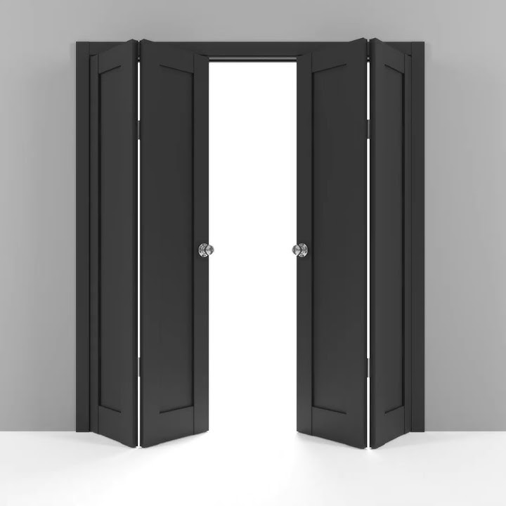 Quadro 4111 Matte Black Double Bifold Door 3D visualization