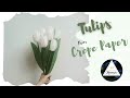 How To Make Tulip Flower From Crepe Paper