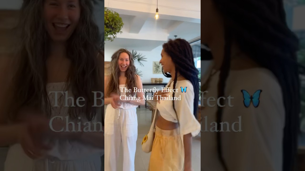 🦋Vegan Hemp Restaurant in Chiang Mai Thailand “The Butterfly Effect “ 