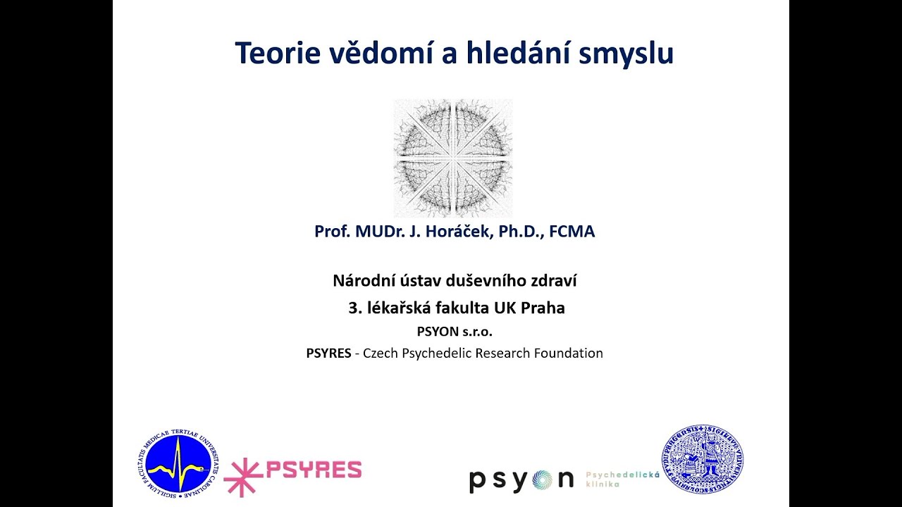 Věda na Hradě - Jiří Horáček: Teorie vědomí a hledání smyslu (SPH, AV ČR, UK 5.2.2025)