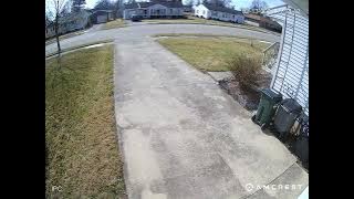 20240213 113356 Neighbors cat