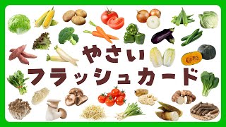 【野菜フラッシュカード⭐️】30種類の野菜の名前を覚えよう‼️/やさい・図鑑・vegetable/2歳児、3歳児、4歳児、5歳児頃の子供向け知育動画/animation
