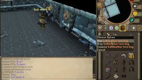 Dungeoneering Boss ! New skill