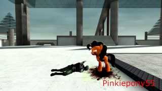 Fight scenerio practice EpicPie VS Combine soldiers (Garry's Mod Animation)