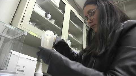 SU College of Engineering and Computer Science Environmental Engineering Lab Tour