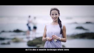 East coast line06《富山保育區 Fushan Fishery Reserve》