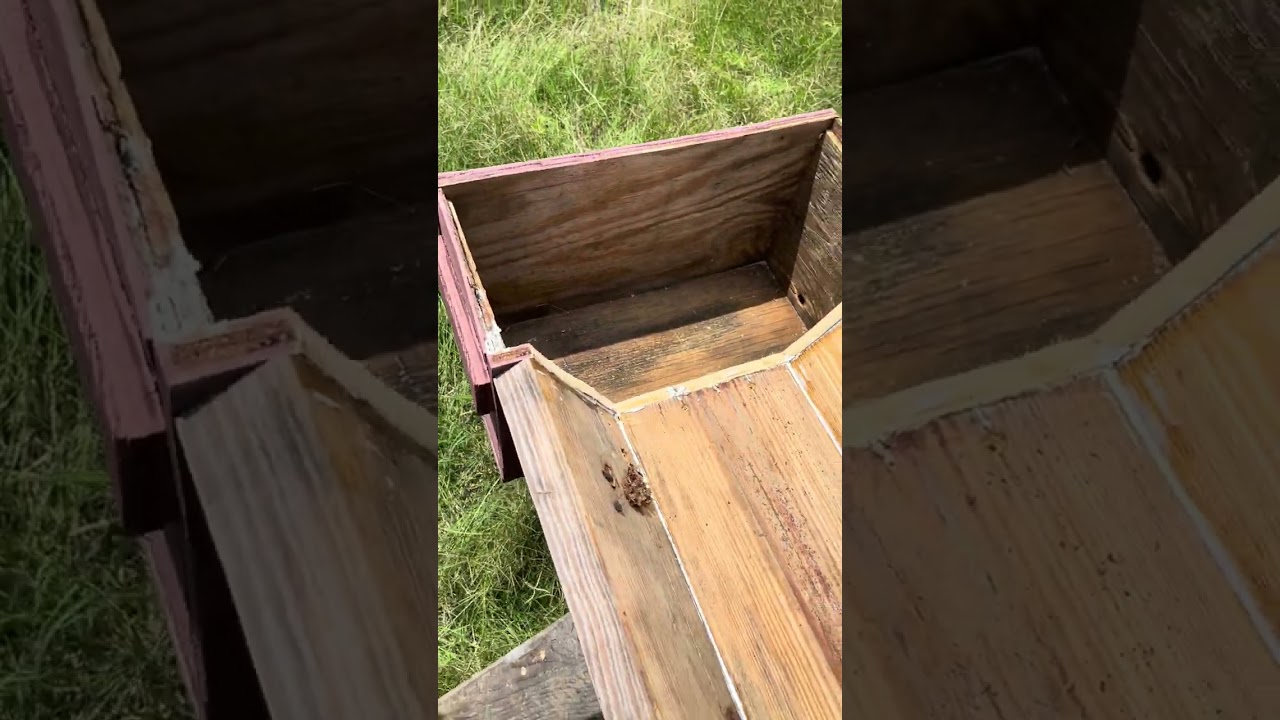 How to easily and seamlessly convert from Langstroth NUCs to Les Crowder Horizontal Hives