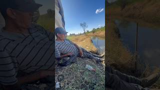Pesca con el Oso Calamos la masa de ajo para mojarra bagre y Carpa