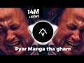 Pyar Manga tha gham de gaye hain - Nusrat Fateh Ali Khan [NFAK Remix] Bass boosted | MunfradShairi