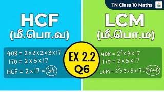 How to Solve 10th Maths Exercise 2.2 Sum 3 Tamil and English Medium Latest Syllabus 2026