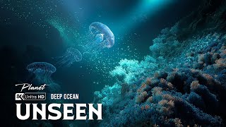 What REALLY Lies Beneath the Pacific Ocean's Surface?