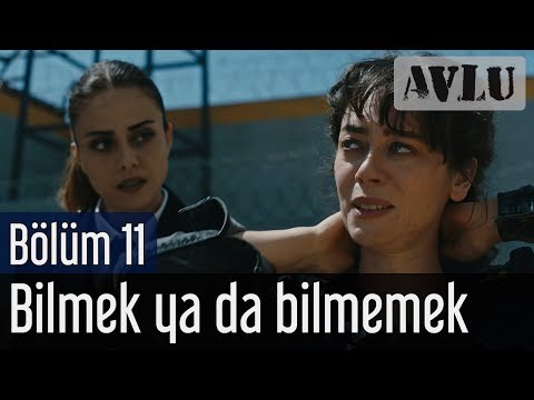 Avlu 11. Bölüm (Sezon Finali) - Bilmek Ya da Bilememek