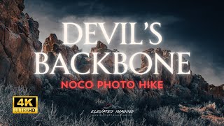 Devil's Backbone Open Space - Awesome Geological Features