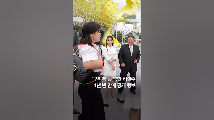'구찌백' 든 북한 리설주 1년 반 만에 공개 행보 #shorts