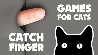 CAT GAMES ★ CATCH FINGER on the SCREEN screenshot 4