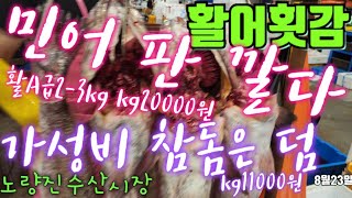 활민어 판 깔고,참돔kg11000원은 덤  8/23(04:00-05:30) 노량진수산시장의 좋은품질 가성비최고인활어횟감시세정보 Seoul Korea Live Fish Market