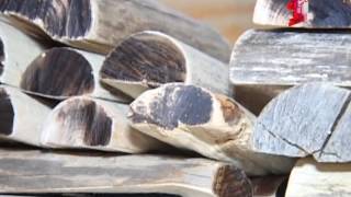 Исторический квест. Гуляем по музею screenshot 3