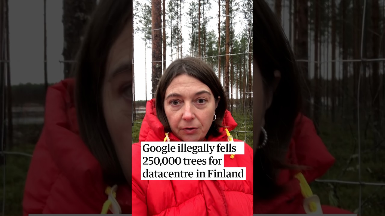 Google illegally fells 250,000 trees for datacentre in Finland