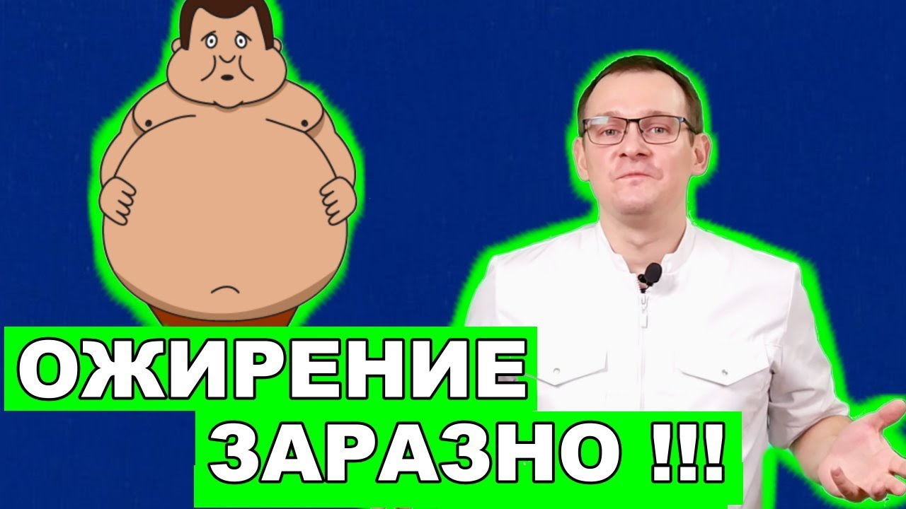 МОЖНО ЛИ ЗАРАЗИТЬСЯ ОЖИРЕНИЕМ? - Ответ: МОЖНО. Эксперимент на мышах ...