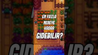 30 Saniyede Stardew Valleyin ve Eric Barone'nin Çılgınca Hikayesi #stardewvalley #ericbarone #hikaye