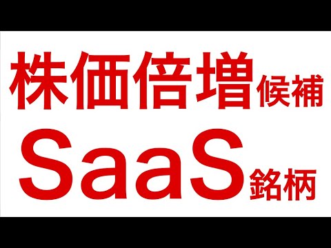 株価倍増もありえそうなSaaS銘柄【スタメン（4019）】