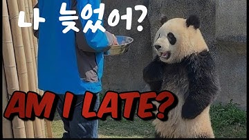 Am Is Are Questions? ㅣ 그래마인유즈 Unit2