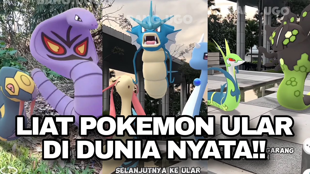 POKEMON ULAR DU DUNIA NYATA!! 🐍🐍 - YouTube