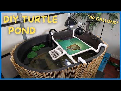 Vídeo: Instalação Indoor Turtle Pool