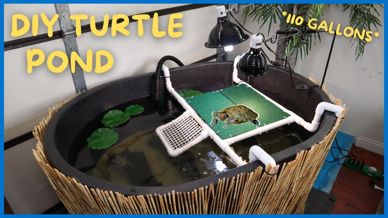 How To Build A Simple Indoor Turtle Pond All Turtles