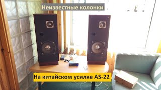 Неизвестные колонки на китайском усилке AS-22