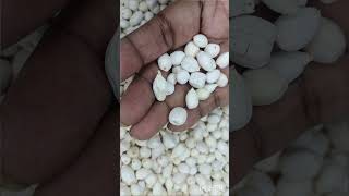 #Haldi bead at wholesale price #great quality #usefull for haldi kit makers #15% off till May 3rd