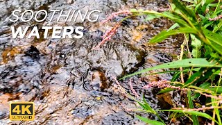 Soothing Waters -Tranquil Sounds Of Water Flowing - 4k Quality