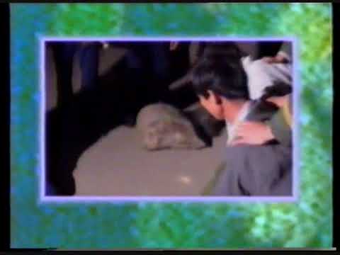 《亞洲電視》十一億人民 II  (1994年 廣告)