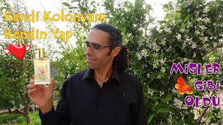 Portakal Çiçeği Kolonyası Yapımı