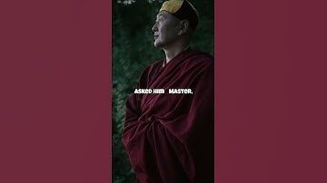 Shaolin Master Chess Wisdom