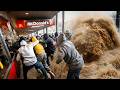 So Close! Lucky People vs Angry Nature Caught on Camera