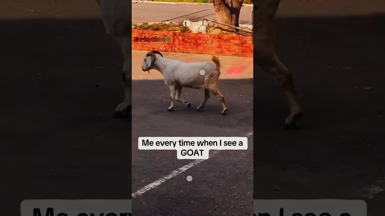 Cristiano 🐐Walk ❤️‍🩹