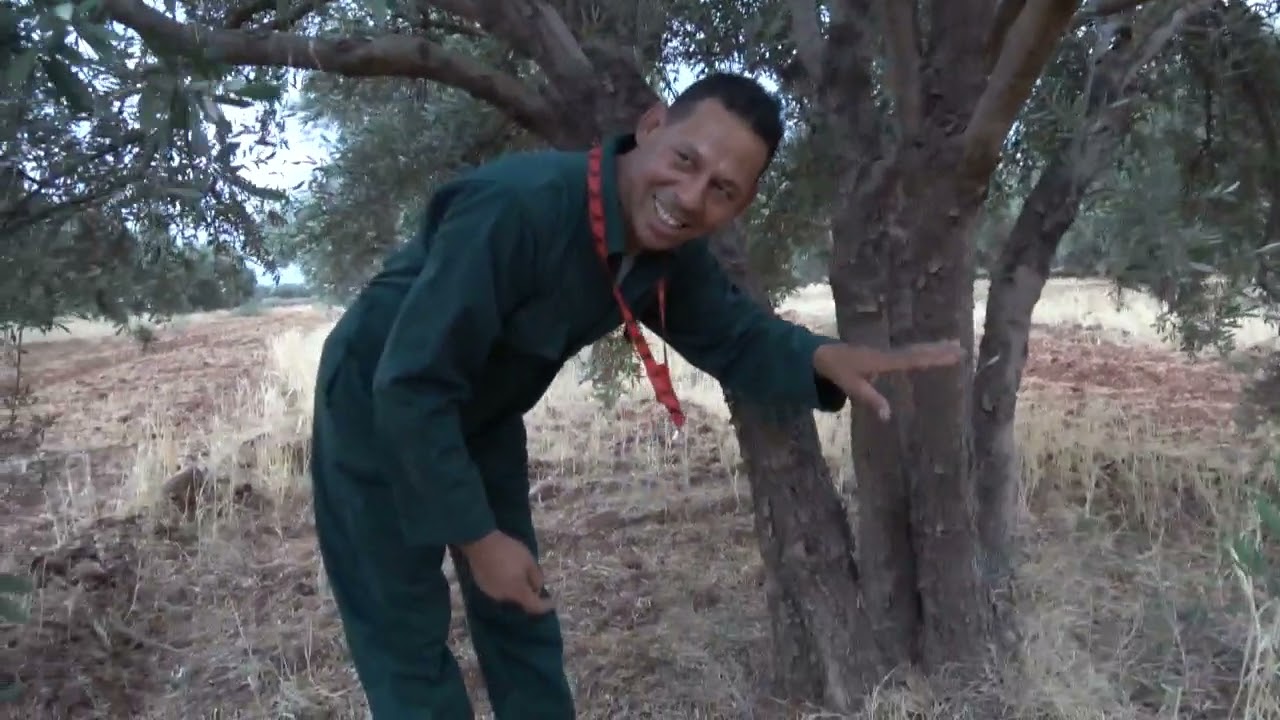 زيارة لضيعة أحد المتتبعي ينقصها عناية وتقليم من منطقة زمران الشرقية