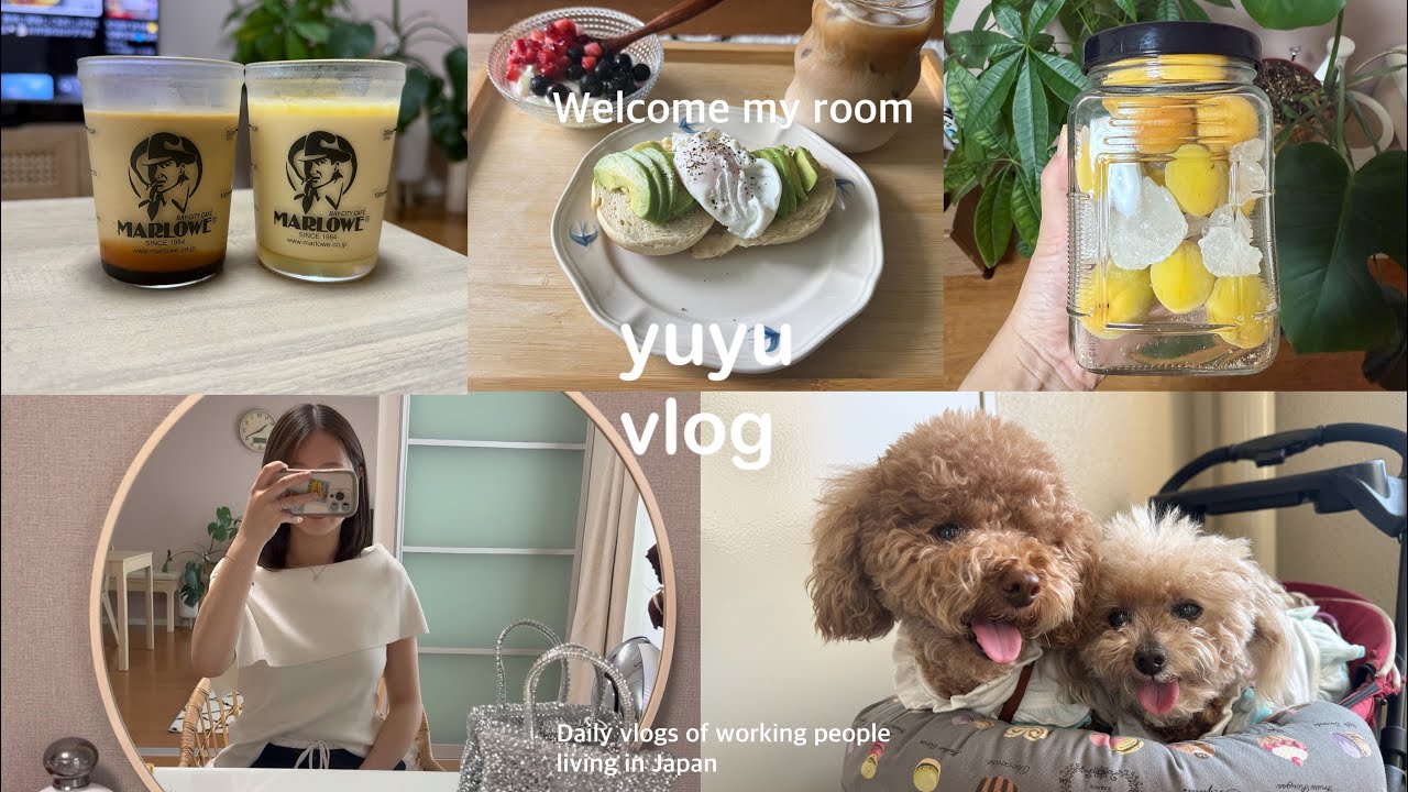 《vlog》社会人の4日間⌇メガ割購入品⌇愛犬に癒しをもらう🐶 ⌇梅シロップ作り