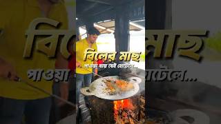বিলের মাছ পাওয়া যায় যেই হোটেলে!