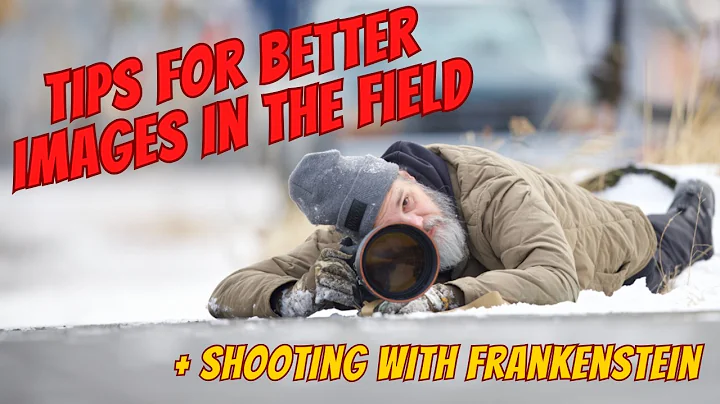 Wildlife Photography Tips for Better Images in the Field thumbnail