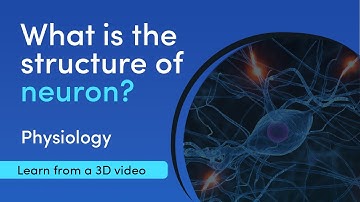 What are the structure and functions of nervous tissues? | MediMagic | 3D Video