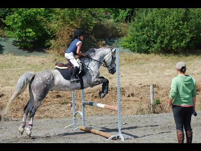 Horse Solution - Zoé passe sa pratique du Galop 3 : sauts d'obstacles et  reprise de dressage. 