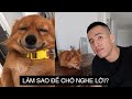 CHĂM SÓC CÚN BỊ BỎ RƠI | CÂU CHUYỆN VỀ HOÀNG VÀ HƯỚNG DẪN SỬ DỤNG | Anh bạn thân | Vlog