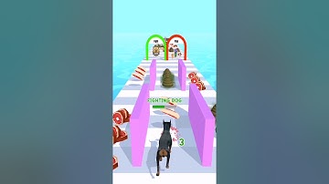 Doggy run gameplay walkthrough 🐕🐩 | All levels | android, iOS mobile | New update #shorts games