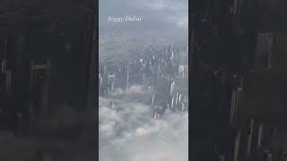 #dubai#burjkhalifa#uaelife#travel#love#foggy#luxury#emaardubai#view#videography#shorts#share#forex