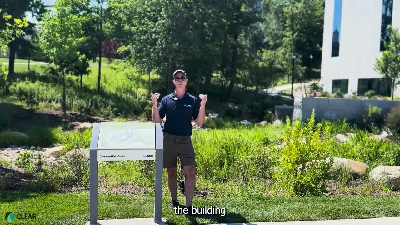 UConn LID Tour Stop 6 - Science 1 Bioretention landscape