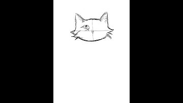 time lapse replay of me drawing a siberian cat (procreate)