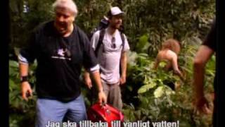 Don Vito Compilation